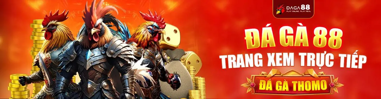 Hình ảnh minh họa chơi có trách nhiệm tại 55win55 Code