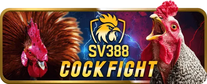 Hệ thống bảo mật 55win55 code