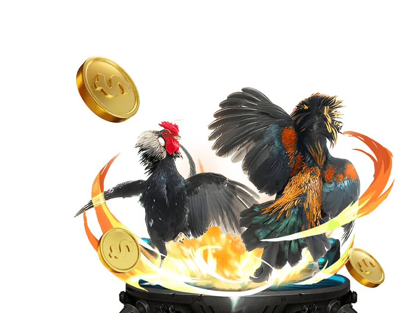 Ưu đãi sự kiện đặc biệt 55win55